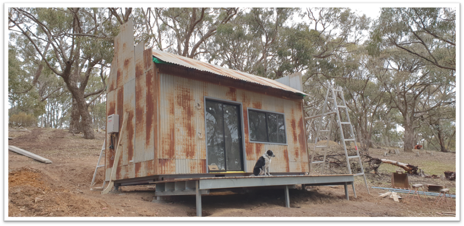 Rustic cabin with corrugated metal siding in a wooded area
